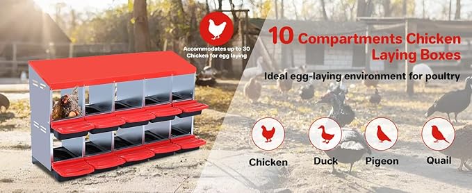 Chicken Nesting Boxes for Chickens, 10 Compartments Metal Roll Away Nest Box for Chicken Coop, Eggs Laying Boxes, 2 Layer for Chicken Coops, Duck Coops and Hens, Red