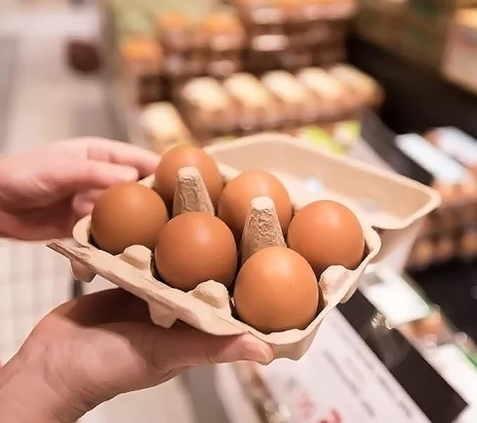 100 Pieces Natural Material Empty Egg Cartons, Each Holds 6 Fiber Egg Carton For Home, Farm, Market, Camping, Picnic, Travel,Reusable.