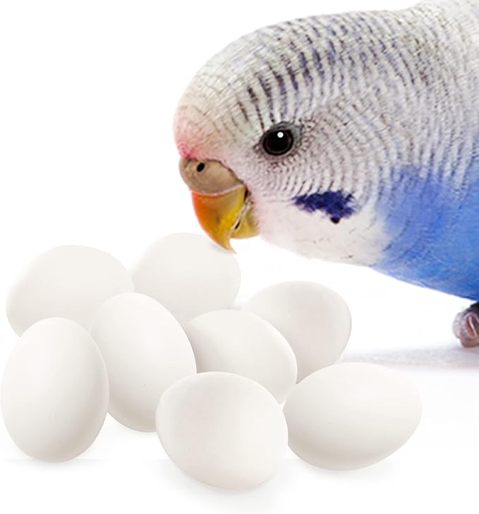 SunGrow Fake Eggs to Train Birds from Laying in The Nesting Boxes & to Stop from Eating Own Eggs, White Color, 8 Pack Plastic Eggs Suitable for Parakeet and Cockatiel