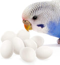 SunGrow Fake Eggs to Train Birds from Laying in The Nesting Boxes & to Stop from Eating Own Eggs, White Color, 8 Pack Plastic Eggs Suitable for Parakeet and Cockatiel