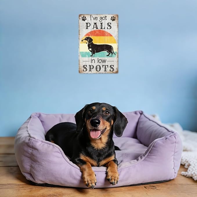 WADORN Funny Dachshund Inspirational Sign, 8x12 Inch I've Got Friends in Low Places Retro Tin Sign Dachshund Gifts For Dog Lovers Nostalgic Metal Wall Art Decor for Home Coffee Bar Bedroom Office