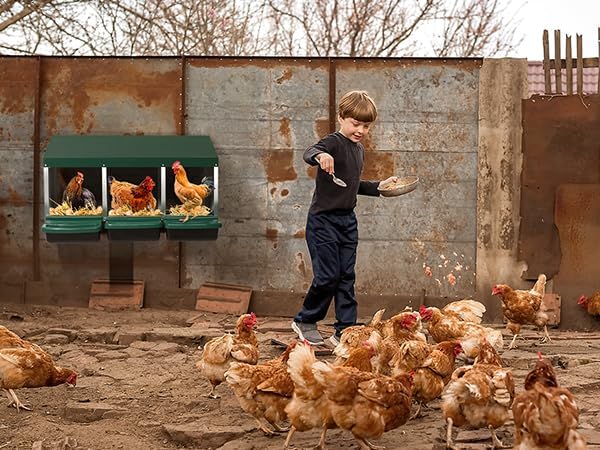Outvita Chicken Nesting Boxes, 3 Compartments Chicken Egg Laying Box, Nesting Boxes for Chickens with Swing Perch and Roll Away Egg Collection for Chicken Coop, Green