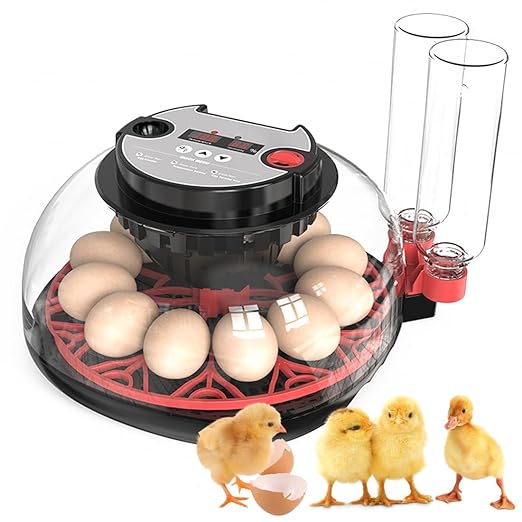 Incubators for Hatching Eggs Incubator with Automatic Egg Turning and Humidity Control, 360° Clear View, Poultry Incubator for Hatching Chicken, Duck, Quail, Pigeon, Goose Eggs (Black)