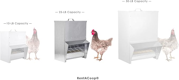 RentACoop Galvanized Chicken Trough Feeder, Weatherproof Poultry Food Dispenser with Lid 25LB Capacity