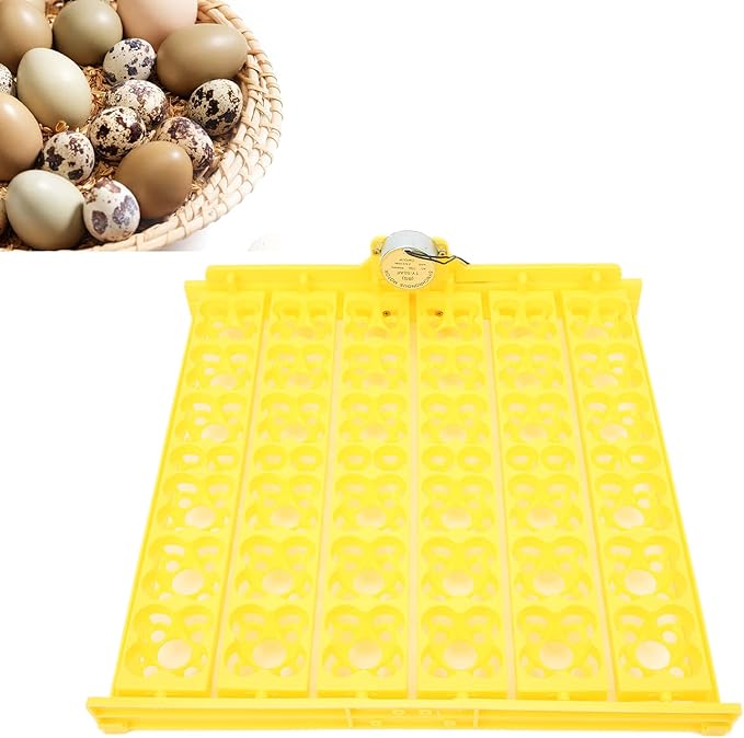 Pssopp Automatic Egg Turning Tray, Mini Incubator Hatcher Automatic Egg Turning Tray Tool Egg Turner with Motor for Chicken Duck Quail Egg Incubator Accessories[110V]