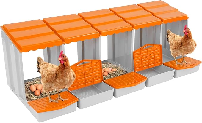 Chicken Nesting Box, 5 Compartments PP Nesting Box, Wall Mountable Nesting Boxes with Inclined Top, Drain Holes & Resting Platform for Chicken and Poultry to Collect Eggs