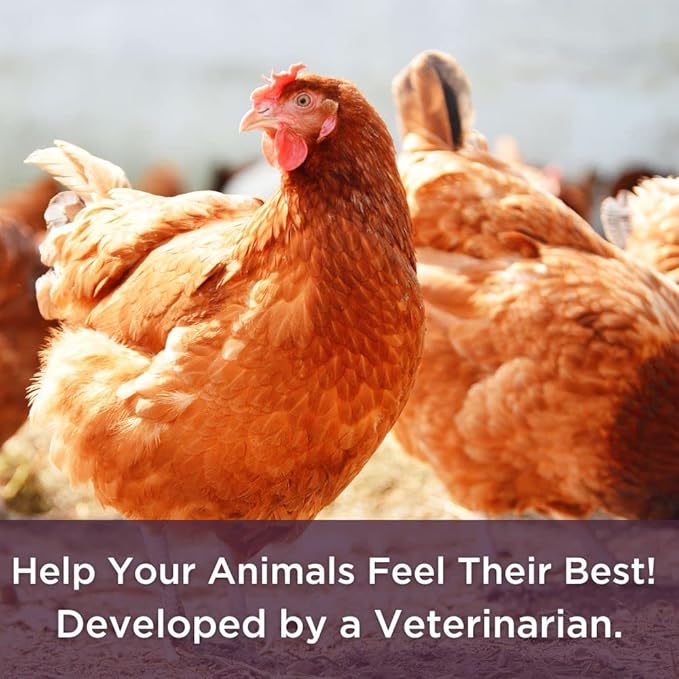 Dr. Connie's Probiotic + Electrolyte Powder for Chickens, Ducks, Goats, Poultry & Livestock | Natural Gut & Hydration Support | Veterinarian Formulated