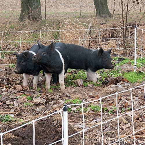 Premier 1 Pig QuikFence® Starter Kit | White/Black Electric Net Fence – 30"H x 100'L (2 Rolls), Includes: Solar Energizer, FiberTuff Support Posts and Tester