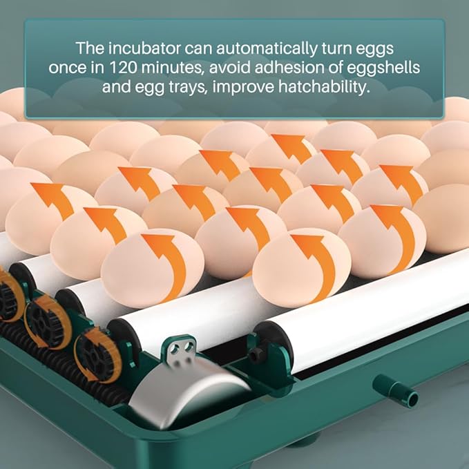 Automatic Egg Incubator 12-38 Egg Digital Poultry Hatcher Machine ith Automatic Egg Turning, Temperature & Humidity Control, Efficient LED Lighting for Chicken Geese Ducks Pigeons Quails (12 Eggs)
