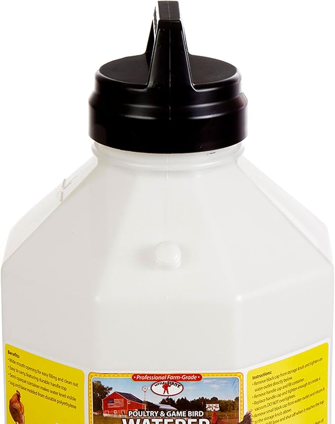 Little Giant PPF5 5 Gallon Automatic Poultry Waterer for Chickens, Red (2 Pack)