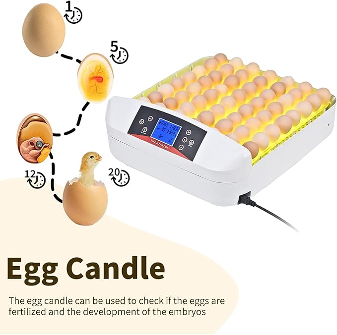 42-56 Egg Incubator with Smart Alarms - Egg Incubator with Auto Turning, Temp Control and Humidity Display, LED Candler Incubator for Chicken, Duck, Goose, Quail, Bird Eggs (56s)