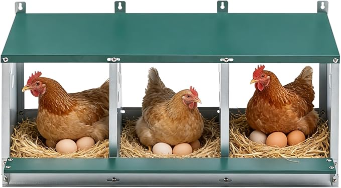 EAGLE PEAK 3-Hole Wall Mounted Chicken Nesting Box, Roll Away Hen Laying Box with Sloped Roof & Easy Clean Tray, Galvanized Steel for Backyard Chicken Coops (Green)