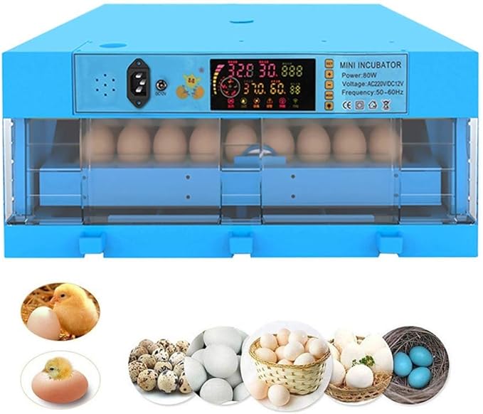 Eggs Incubator Automatic Turning Hatching for Chicken Duck Goose Dove Quail 64 Digital Clear Hatcher Humidity Temperature Control