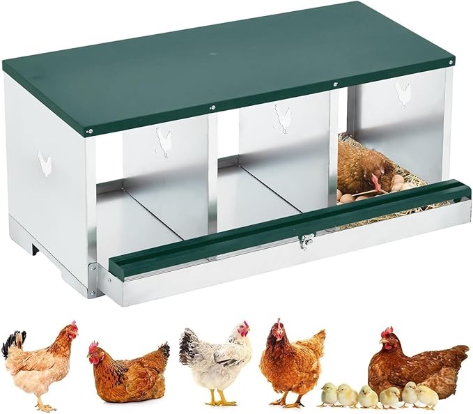 Chicken Nesting Boxes, 3 Hole Chicken Egg Laying Boxes with Lid, Metal Nesting Boxes for Chickens with Swing Perch and Roll Away Egg Collection for Chicken Coop, Nest Box Single Layer 3 Compartments