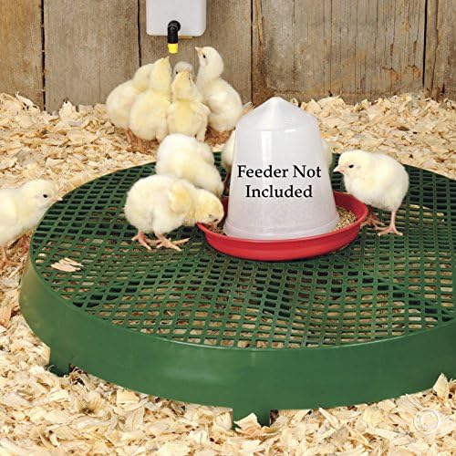 Premier 1 Poultry Feeder/Waterer Stand