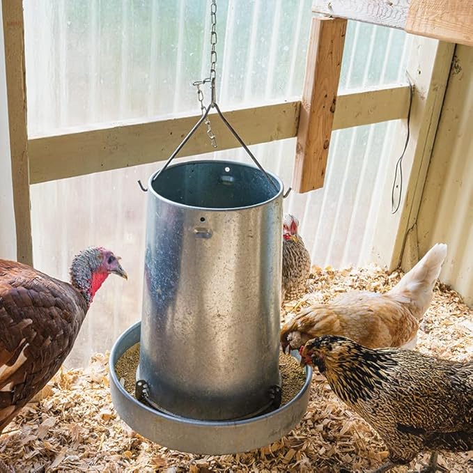 Premier 1 Galvanized Cone Feeder for Chickens & Poultry - 11 lb Capacity