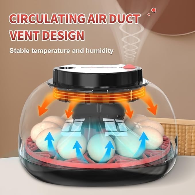 Nest II - 12 Egg Incubator for Beginners, Multi-Level Adaptive Humidity (Auto-Refill & Dual-Bottle) & Stable Temp Control, Auto Egg Turning, Real-Time Display, Candler for Hatching Poultry Eggs