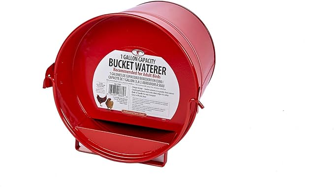 Little Giant® Painted Galvanized Bucket Waterer | Chicken Waterer | Heavy Duty Gravity Fed Water Tank | Easy to Carry | 1 Gallon
