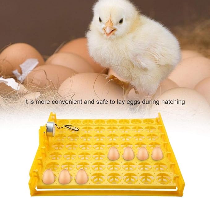 Eggs Incubator, 56 Eggs Mini Plastic Automatic Egg Turning Tray Tool with Motor Universal Practical for Chickens Ducks Birds Hatcher Supplies Eggs Hatcher110V