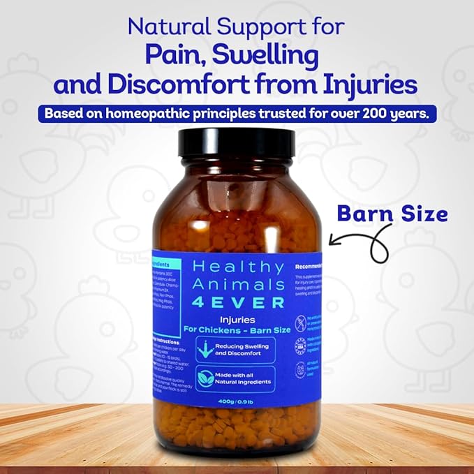 HA4E - Chicken Injury Supplement - Supports Recovery from Accidents & Injuries - Highly Effective, Natural Homeopathic Tablets - Barn Size (Extra Large)