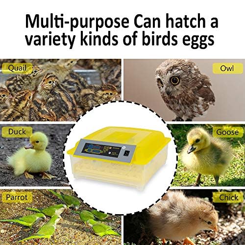 CROSSDESIGN Automatic Digital Egg Incubator 48 Eggs Poultry Hatcher Machine Breeder w/Temperature Control & Auto Turning for Hatching Chicken Duck Goose Quail Birds