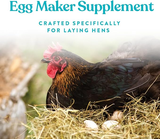 Manna Pro Omega Egg Maker - Chicken Feed Supplement for Laying Hens - Poultry Food with Omega-3 Fatty Acids - Digestion Support with Fortified Vitamins & Minerals - 5 lbs (Pack of 2)