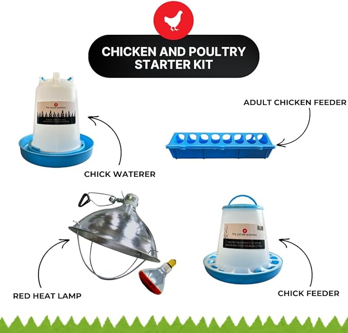 Ma Poule Express – Proudly Canadian – Chicken & Poultry Starter Kit | Chick Feeder & Waterer Set + 250W Red Heat Lamp & Reflector | Feeds Chicks, Ducks, Quail & Adult Hens