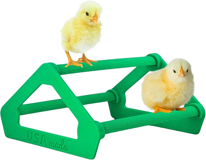 Roosting Perch for Baby Chickens, Chick Brooder Coop Training Toy Accessory, Easy Click Together Assembly, Durable Plastic, Mix and Match Colors, USA Made (Green, 1 Pack)