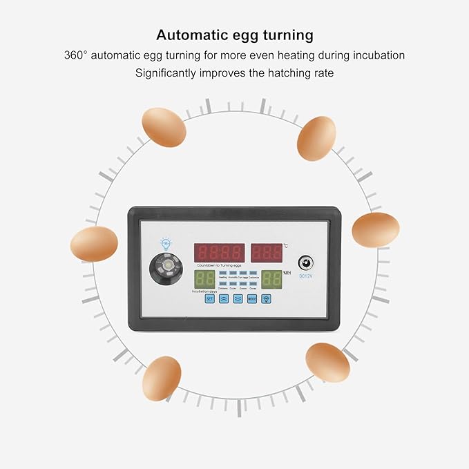 Intelligent Incubator Thermostat Controller, Digital 12V 100W for Chicken Duck Goose Quail Pigeon Parrot Peacock Eggs, ABS Shell 150x88x30mm