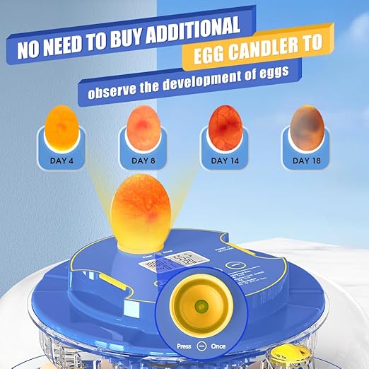 HOWOOlUA 18 Egg Incubator for Hatching Eggs with Auto Turn, Temp & Humidity Control, Built-in Candler Large Capacity Egg Incubator for Chicken Duck Goose Eggs (Blue)
