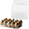 LEXININ 100PCS 15 Grid Quail Egg Cartons, Clear Quail Egg Containers, Plastic Quail Egg Holder Trays for Kitchen Storage
