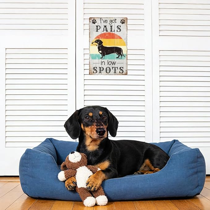 WADORN Funny Dachshund Inspirational Sign, 8x12 Inch I've Got Friends in Low Places Retro Tin Sign Dachshund Gifts For Dog Lovers Nostalgic Metal Wall Art Decor for Home Coffee Bar Bedroom Office
