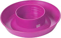Little Giant® Screw-On Poultry Waterer Base | Heavy Duty Plastic Water Tray Base for Container | Chicken Waterer Screw on Base (Hot Pink, 1 Count)