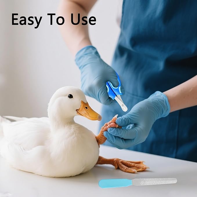 Call Duck Nail Clippers with Nail File，Stainless Steel Call Duck Chicken Hen Roster Goose Toe Nail Clippers Professional Grooming Pet Tool for Small Breed Animals