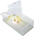 Large Transparent Chicken Brooder Box Chick Incubator 30-50 Indoor Chicken Coop 31.5inch Chick Brooder Kit