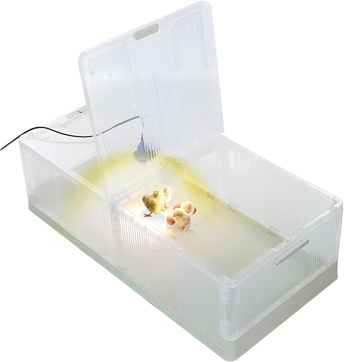 Large Transparent Chicken Brooder Box Chick Incubator 30-50 Indoor Chicken Coop 31.5inch Chick Brooder Kit