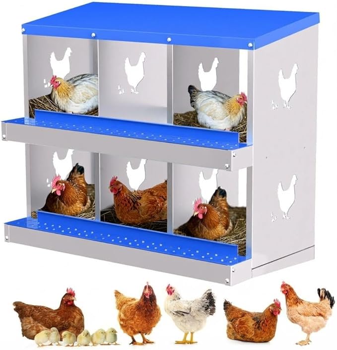Chicken Nesting Box,6 Holes Galvanized Steel Metal Chicken Laying Box with Automatic Roll-Away Egg Collection System & Removable Tray,Wall Mount Nesting Boxes