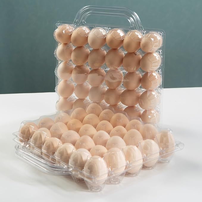 30 Piece Portable Transparent Egg Cartons Plastic Egg Container Specification 5×6 30 Piece Plastic egg Paper Box Suitable For Farm Egg Carton (5x6 30 portable bulk egg cartons, 30 pieces)