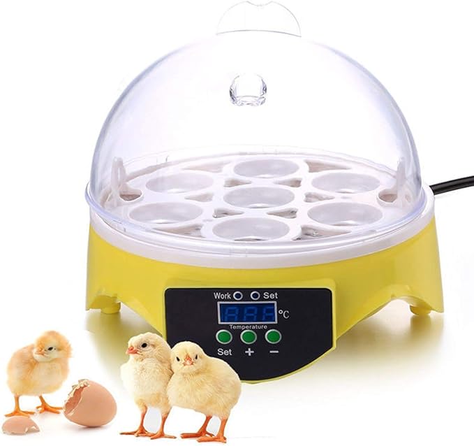 Egg Incubator, Semiautomatic Egg Incubators, 7 Eggs Hatcher Digital Egg Incubator Automatic Turning, Automatic Temperature Control Egg Incubator Hatcher Machine