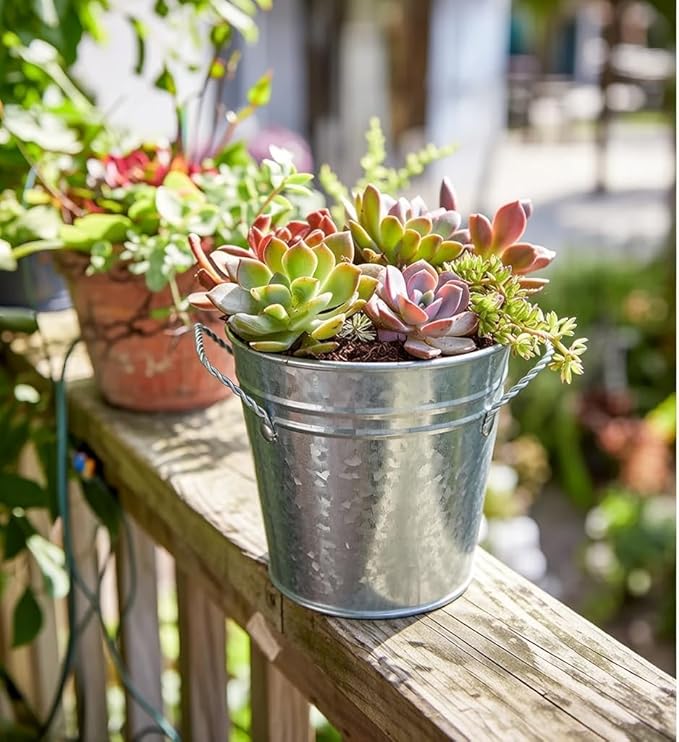 Hosley 3 Pack of Galvanized Planters 5" Dia x 4.5" H Durable Metal Plant Pots for Floral Arrangements Indoor and Outdoor Gardening with Vintage-Inspired Charm Rustic