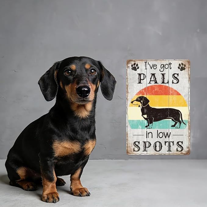 WADORN Funny Dachshund Inspirational Sign, 8x12 Inch I've Got Friends in Low Places Retro Tin Sign Dachshund Gifts For Dog Lovers Nostalgic Metal Wall Art Decor for Home Coffee Bar Bedroom Office