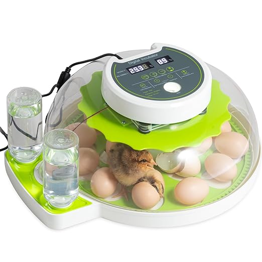 18 Eggs Professional Egg Incubator - Automatic Turning, Precise Temperature & Humidity Control, Egg Candling, 360 - Degree View, Ideal for Farms and Laboratories