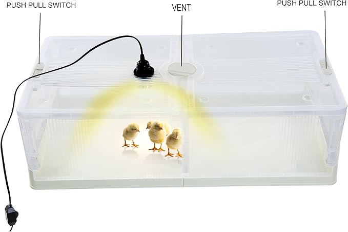 Large Transparent Chicken Brooder Box Chick Incubator 30-50 Indoor Chicken Coop 31.5inch Chick Brooder Kit
