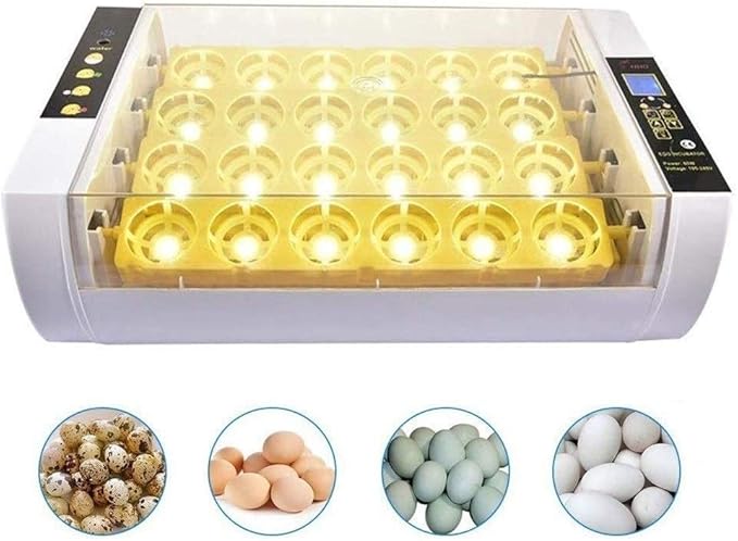 Egg Incubator Automatic Turning with LED Light Temperature Control 24 Digital Eggs Poultry Hatcher for Chicken Duck Goose Quail