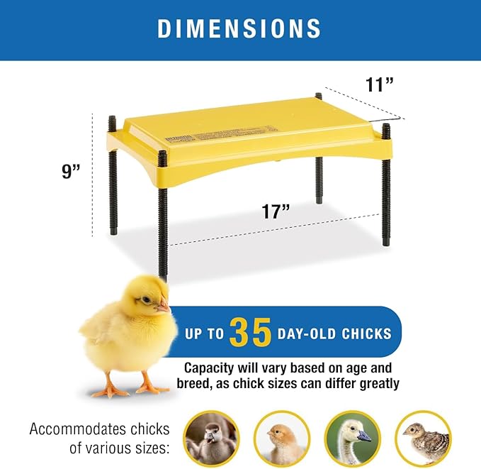 Brinsea Ecoglow Safety 1200 Chick or Duckling Brooder, Adjustable Height & Angle Brooder Plate, Ideal for Chicken Coops Poultry Heating with Safety Indicator, 18 Watts