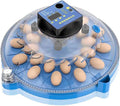 Egg Incubators, Round Poultry Hatcher, Automatic Temperature Control Digital Display Incubator, for Hatching Chick Duck Goose Pigeon Quail Bird Eggs (16 Pieces)