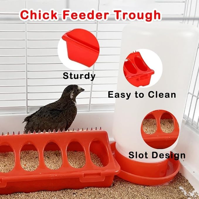 5pcs Chick Feeder and Waterer Kit,Top Fill 1kg Chick Feeder and 1L Chick Waterer,Baby Chicken Supplies with Chicks Perch,for Coop and Brooder for Small Poultry Ducks Quail