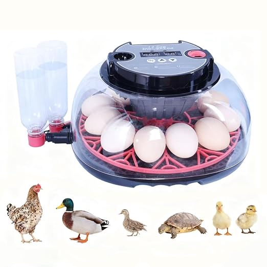 12 Eggs Incubator with Humidity Display and Candler, Automatic Egg Turner, for Hatching Chickens