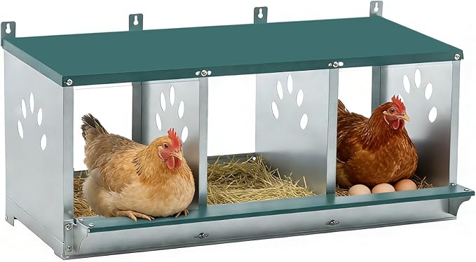 3 Compartment Metal Chicken Nesting Box, Roll Out Hen Laying Box for Easy Egg Collection, Wall Mount Poultry Nest Box for Backyard Chickens, Green, 32.09" L x 16.34" W x 15.35" H