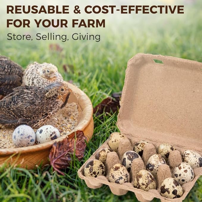 CINPIUK 50 Pack Quail Egg Cartons, 3x4 Style Paper Pulp Quail Egg Trays, Sturdy & Reusable Quail Egg Holder 12 Count Dozen Quail Egg Storage Tray for Farmers, Home Use & Transport